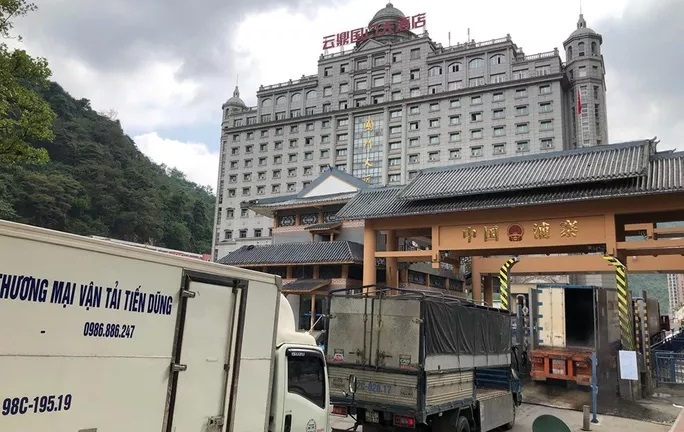 Ảnh hưởng dịch do virus corona, hàng trăm container trái cây Việt xuất sang Trung Quốc buộc phải quay đầu 