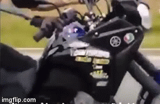 Video: Quái xế cụt tay bốc đầu xe máy rồi nhờ bạn quay lại