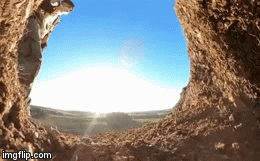 Video: Người đàn ông thả chồn vào hang, điều xảy ra sau đó khiến ai cũng bất ngờ