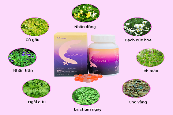 Tiền mãn kinh uống thuốc gì? 