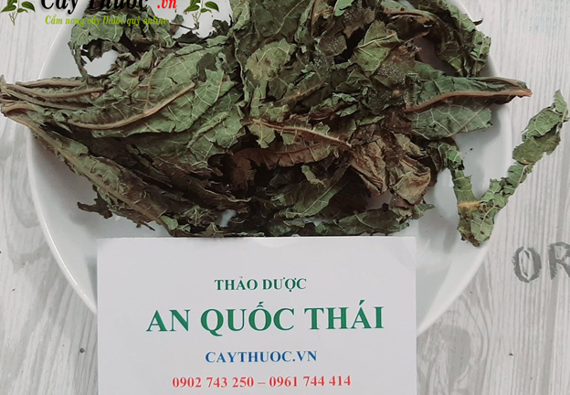 Lá đu đủ có tác dụng gì? Cách nấu lá đu đủ hỗ trợ điều trị ung thư