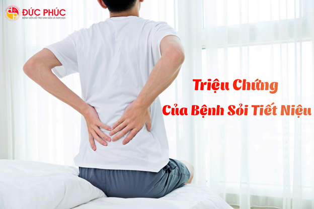 Đau thận là đau ở đâu?