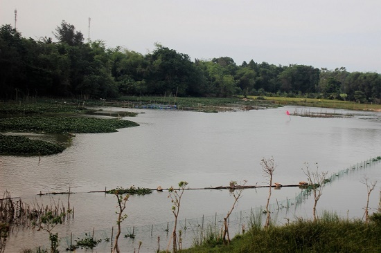 Quảng Nam: Đi câu cá, nam thanh niên chết đuối thương tâm