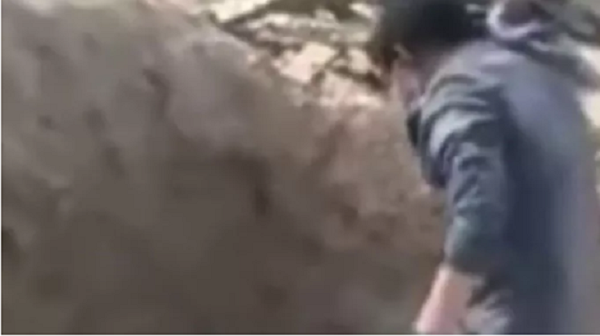 Bắt nghịch tử hãm hại mẹ già 79 tuổi