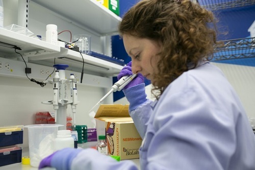 Mỹ: Thử nghiệm vaccine ngừa Covid-19 trên người thu được kết quả tích cực