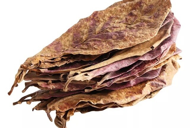 Dân chơi cá cảnh chơi lớn, chịu chi tiền triệu mua 