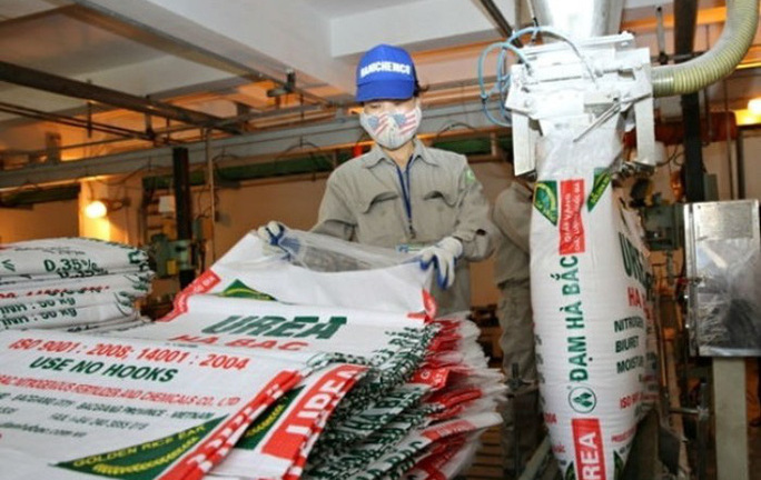 Kiến nghị xử lý những vi phạm có dấu hiệu hình sự tại công ty Đạm Hà Bắc