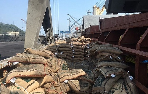 Cục Hải Quan bắt giữ tàu vận chuyển trái phép hơn 41 tấn gạo