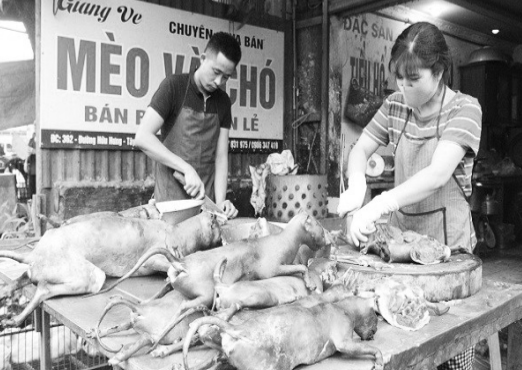 Cuộc vận động không ăn thịt chó: Bao giờ mới đến hồi kết?