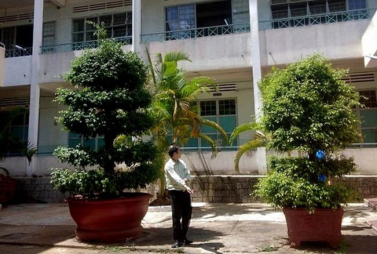 Tin tức pháp luật mới nhất ngày 14/6/2020: Điều tra vụ nữ sinh ngoan hiền nhảy lầu tự tử tại Gia Lai