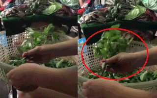 Cách nhặt rau ngót sáng tạo dành cho hội những người lười 