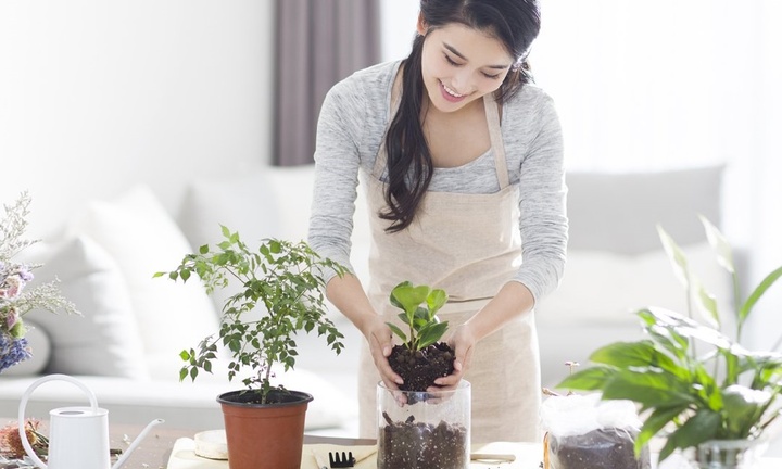 Mẹo hay tưới cây cho người bận rộn, dù ngày hè nắng nóng cây vẫn tươi tốt