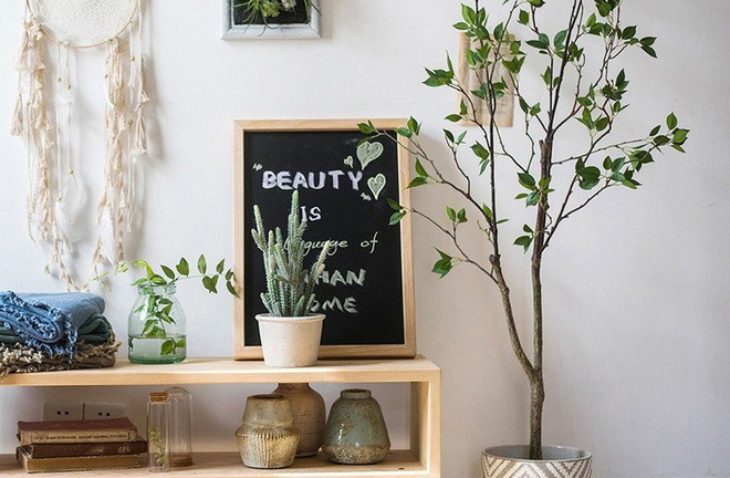 Không cần tinh dầu, ngôi nhà vẫn thơm mát nhờ trồng những cây này