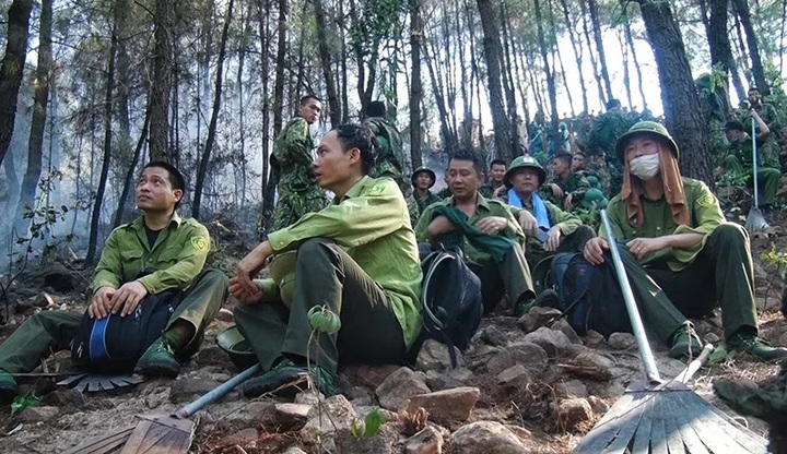 Cháy rừng ở Diễn Châu: Nỗ lực dập lửa suốt đêm