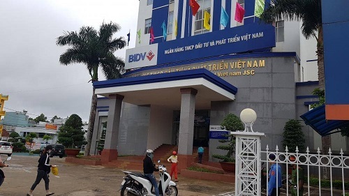 Vụ vỡ nợ hàng trăm tỷ ở Gia Lai: Sự thật về nguồn gốc số tiền hơn 100 tỷ một kế toán ngân hàng mang cho vay