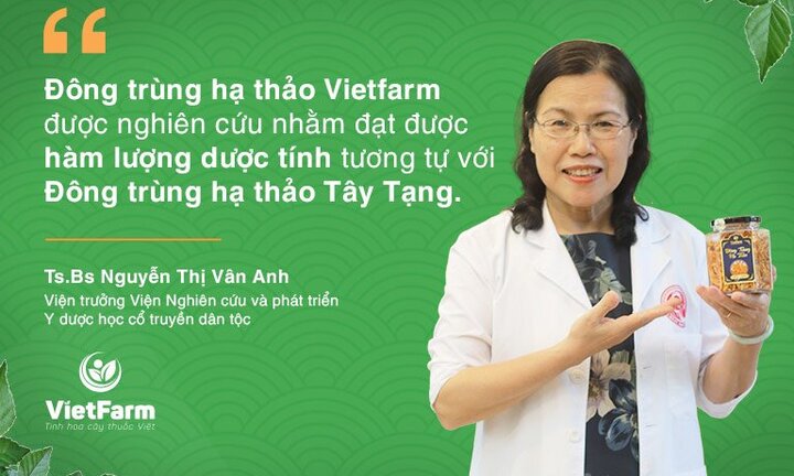 Chuyên gia đánh giá:  "Đông trùng hạ thảo Vietfarm có chất lượng tiệm cận với vàng mềm Tây Tạng "