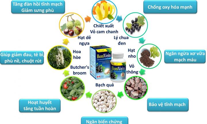 BoniVein – Bí quyết 2 trong 1 trị cả bệnh trĩ và suy giãn tĩnh mạch 