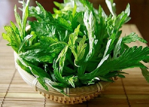 Ngải cứu cực tốt nhưng cũng cực độc, biết để tránh kẻo 