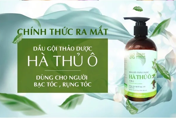 Các loại thảo dược nào thường có trong dầu gội? Vì sao nên dùng dầu gội thảo dược?