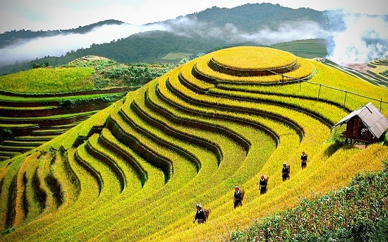 Xê dịch mùa thu: thú vui của những người lãng mạn