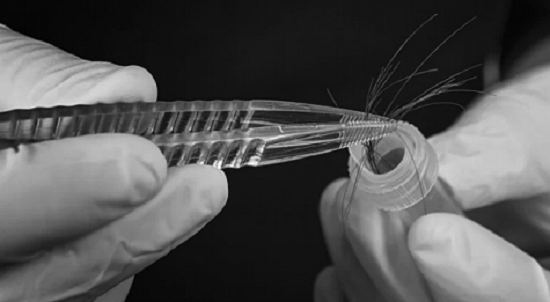 Những bí mật động trời trong phòng xét nghiệm ADN (kỳ 1): Một lần trót dại với tình cũ và kế hoạch mua chuộc “quan tòa”