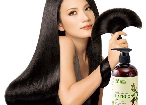 Chăm sóc tóc bằng hà thủ ô nên gội hay uống để hiệu quả, an toàn