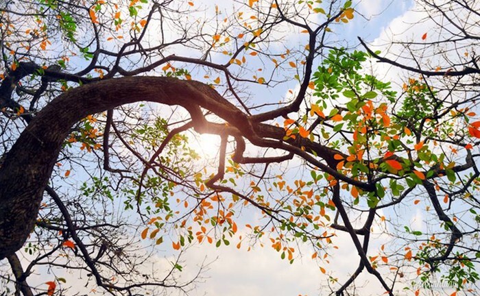 Dự báo thời tiết ngày 18/11: Hà Nội có mưa, trưa chiều hửng nắng