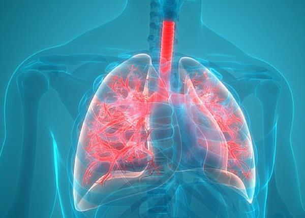 Cùng Bác sĩ Dược Sài Gòn tìm hiểu một số bệnh phổi thường gặp