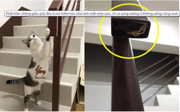 Vợ bất ngờ phát hiện 