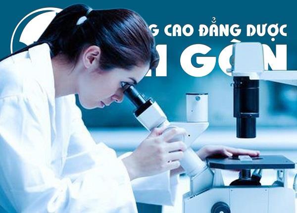 Cùng Bác sĩ Dược Sài Gòn tìm hiểu về các loại nhóm máu ở người