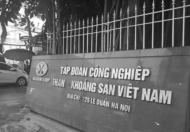 Nhiều công ty con của TKV phớt lờ quy định về đấu thầu
