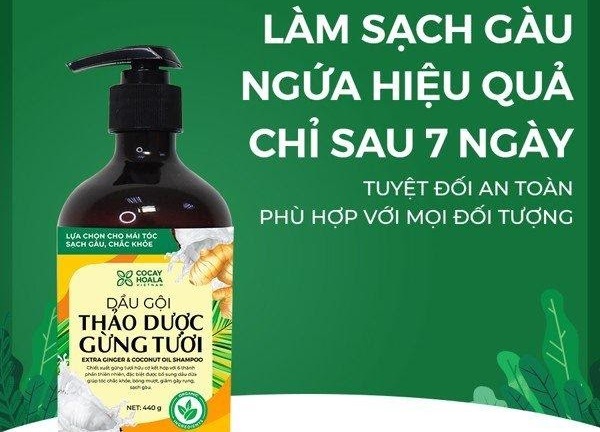 Tác hại nghiêm trọng của dầu gội trị gàu công nghiệp, có thể bạn chưa biết?