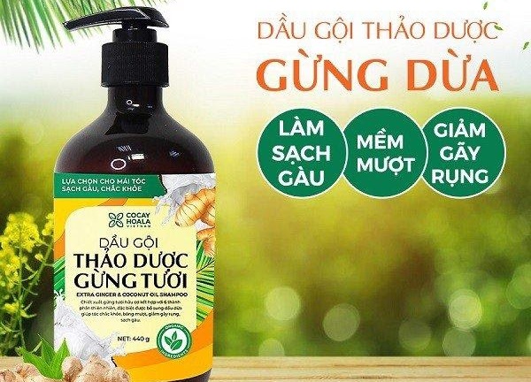 Vì sao nên sử dụng dầu gội thảo dược để trị gàu?