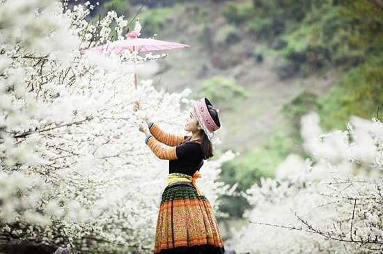 Sơn La: Hướng đi nào cho đề án phát triển du lịch huyện Mộc Châu đến năm 2025 và tầm nhìn đến năm 2030