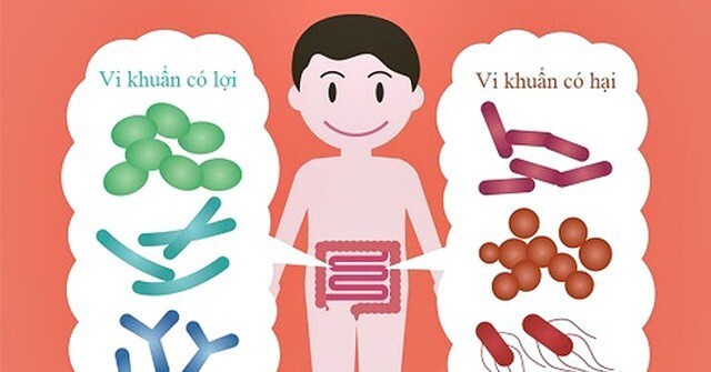 Người viêm đại tràng ăn Tết “trọn vị” nhờ chế độ “3 không, 2 cần”