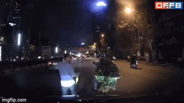 Video: Thấy người lạ làm đổ chậu quất giữa đường, tài xế mang vật đặc biệt ra giúp