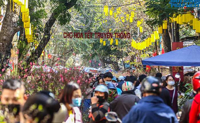 Chợ hoa Hàng Lược chiều 29 Tết: Khách đến xem nườm nượp nhưng ít người mua