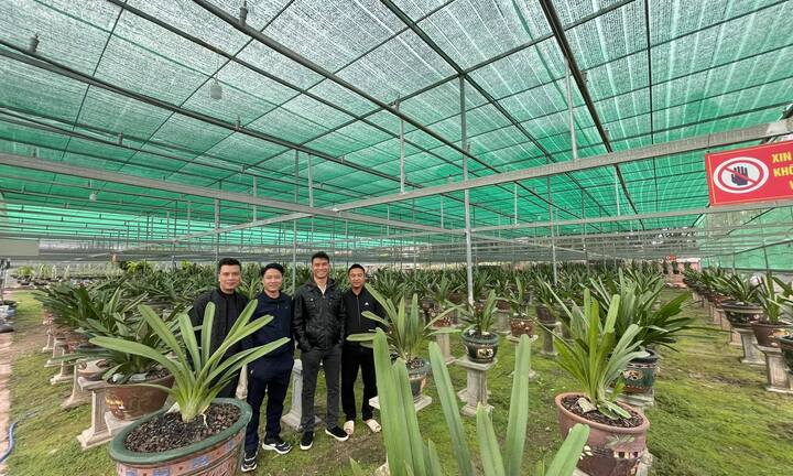 Doanh nhân Ngô Gia Bình: Thị trường hoa lan có nhiều lợi thế để phát triển