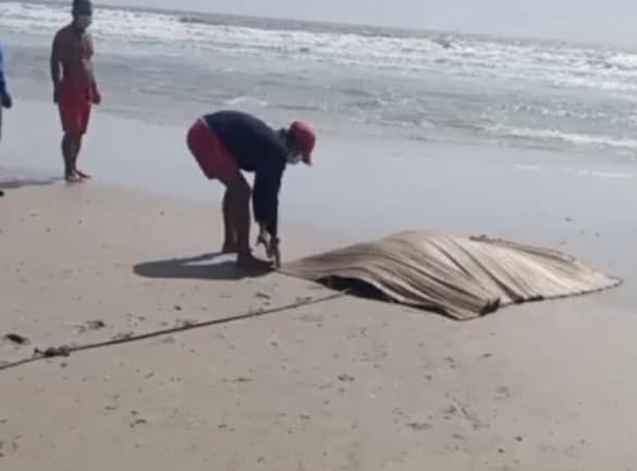 Đang tắm biển, du khách hốt hoảng bỏ chạy vì thấy thi thể trôi dạt