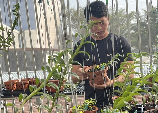 Doãn Chinh và hành trình theo đuổi hoa lan đầy thú vị