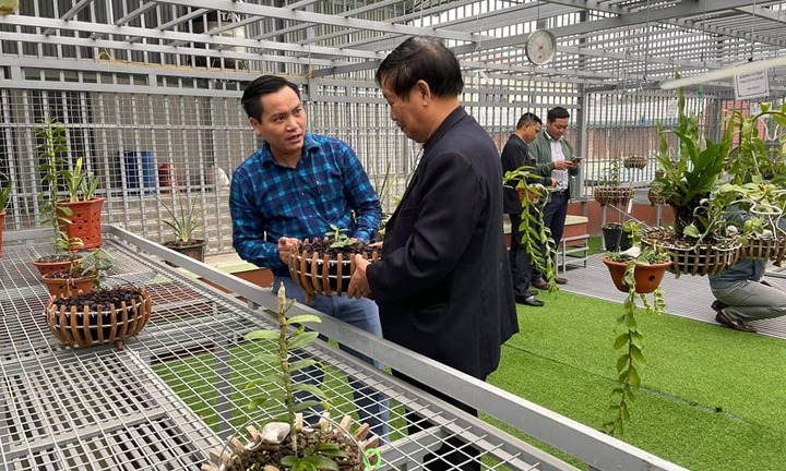 Cần tăng cường liên kết để phát triển ngành hoa lan Việt Nam