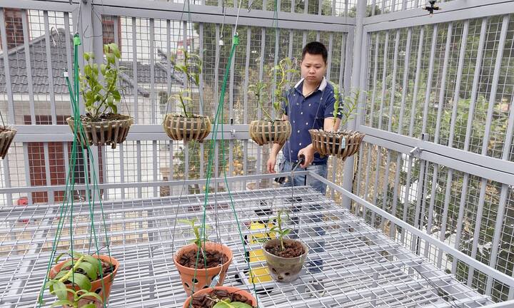 Chàng trai 9X gốc Hà Nam và tình yêu lớn dành cho loài hoa lan