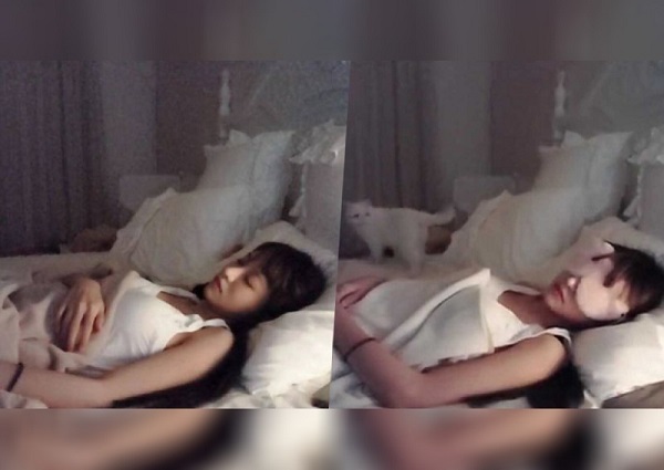 Nữ streamer xinh đẹp kiếm gần 2 triệu đồng nhờ… ngủ quên khi đang livestream