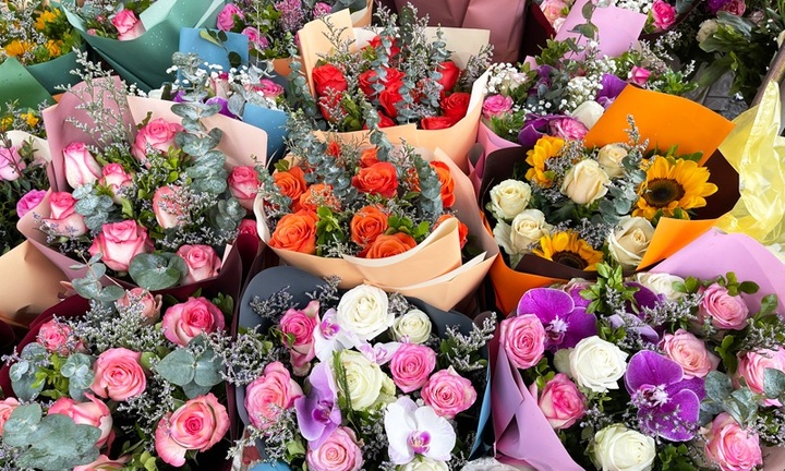 Hồng bất tử được nhiều người chọn mua dịp 8/3