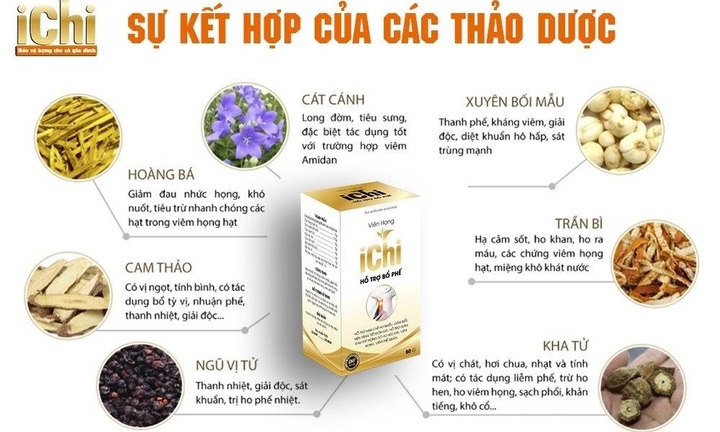 Thảo dược viên sủi ICHI loại đờm hết ho, không lo mất ngủ