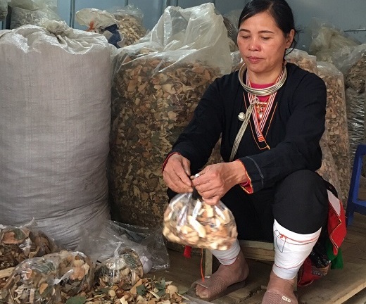 Phương pháp chữa đau nhức xương khớp độc đáo giúp ngàn người thoát khỏi cảnh đau đớn của lương y Triệu Thị Hòa