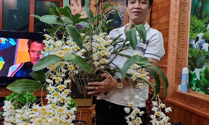 Chặng đường khởi nghiệp gian nan của ông chủ vườn lan nổi tiếng Bắc Ninh - Trương Cường