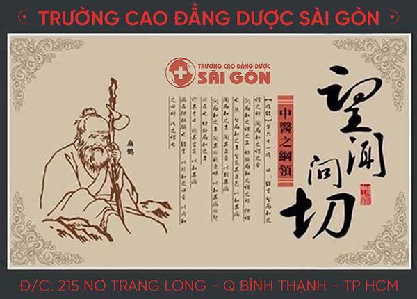 Thầy thuốc chia sẻ công dụng của dược liệu đông y thảo quyết minh