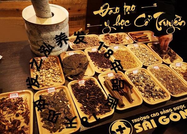 Thầy thuốc đông y chia sẻ về dược liệu thương nhĩ tử