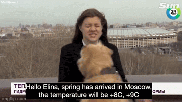 Video: Chú chó giật 